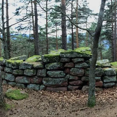 Casa vacanze Relais De Lynell Mittelhausbergen